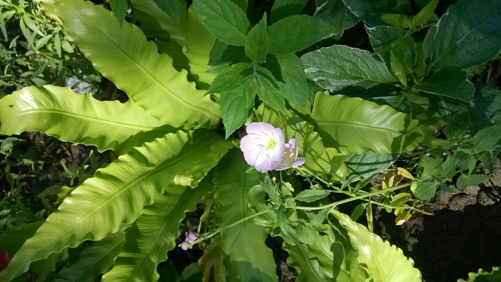 日本一卡2卡3卡四卡精品网站