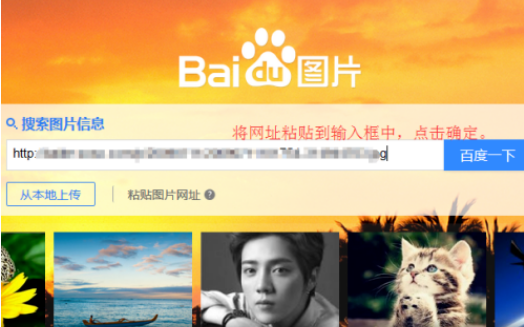 国产精品无码免费专区午夜