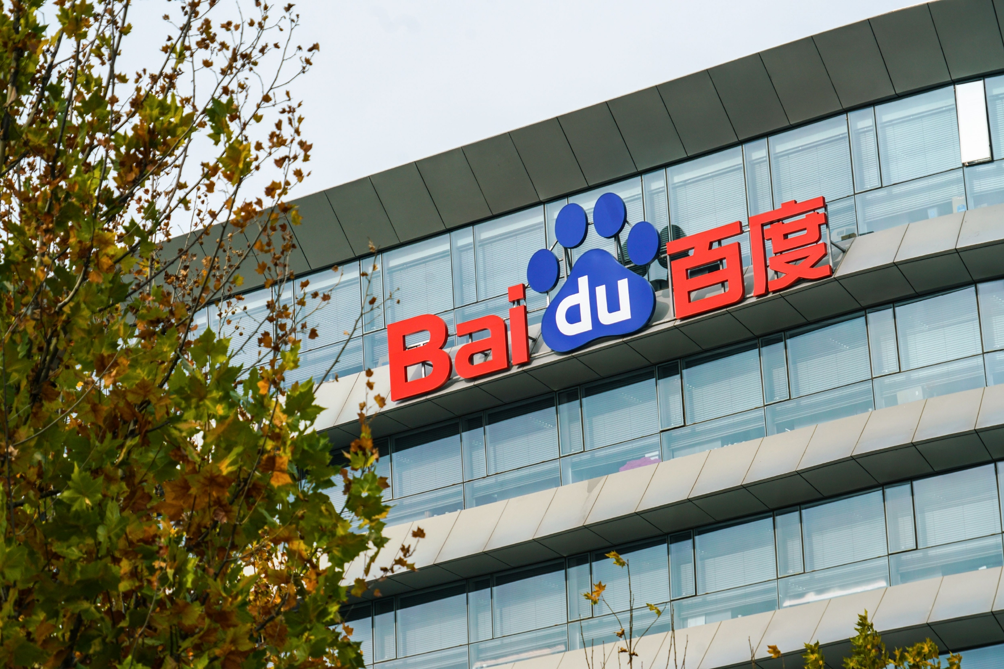 日韩久久无码免费毛片软件